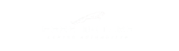 Logo da Fera Motors
